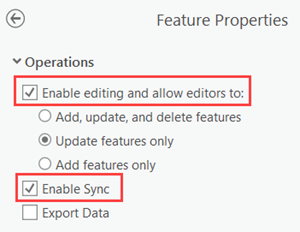Enable editing and sync on the feature layer. Enable editing and sync on the feature layer.